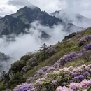 神农架林区旅游 缩略图 2