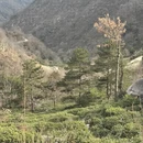 黄冈旅游 缩略图 17