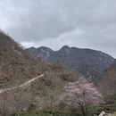 黄冈旅游 缩略图 18