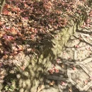 遵义旅游 缩略图 6