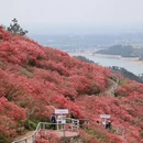武汉旅游 缩略图 15