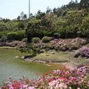 福州旅游 缩略图 11