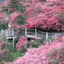 武汉旅游 缩略图 17