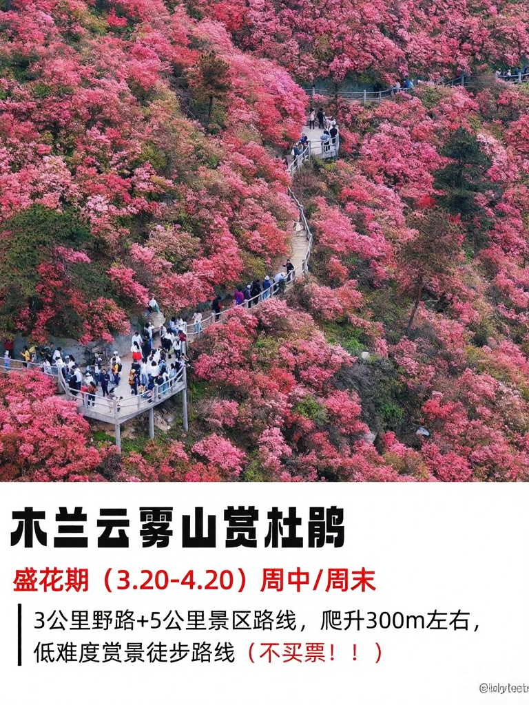 武汉旅游