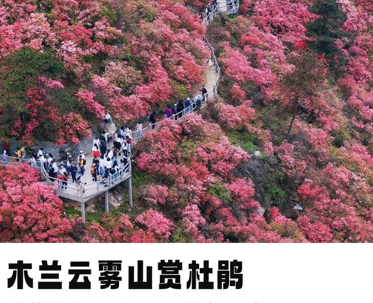 武汉旅游 1