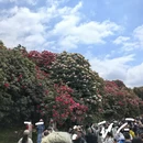 遵义旅游 缩略图 10