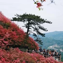 武汉旅游 缩略图 2