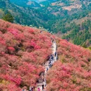 武汉旅游 缩略图 3