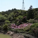 福州旅游 缩略图 15