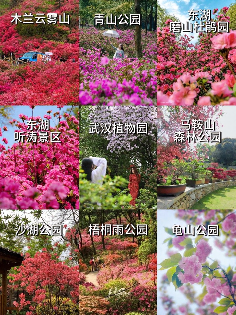 武汉旅游