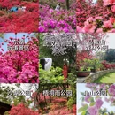 武汉旅游 缩略图 1