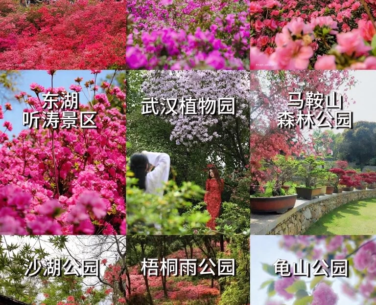 武汉旅游 1