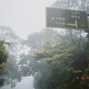 深圳旅游 缩略图 9