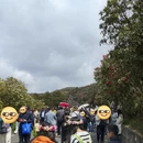 遵义旅游 缩略图 2