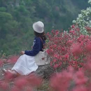 武汉旅游 缩略图 11