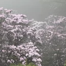 深圳旅游 缩略图 11