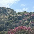 遵义旅游 缩略图 3