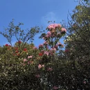 遵义旅游 缩略图 4