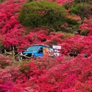 武汉旅游 缩略图 3