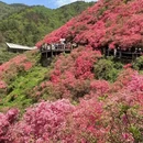 武汉旅游 缩略图 7