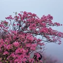 铜陵旅游 缩略图 15