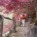 武汉旅游 缩略图 2