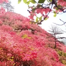 武汉旅游 缩略图 6