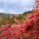 武汉旅游 缩略图 7