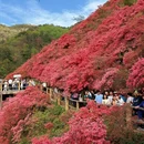 武汉旅游 缩略图 7