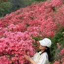 武汉旅游 缩略图 9