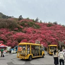 武汉旅游 缩略图 2