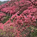武汉旅游 缩略图 3