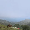 韶关旅游 缩略图 3