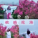 铜陵旅游 缩略图 1