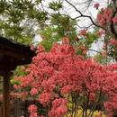 武汉旅游 缩略图 9