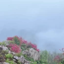 铜陵旅游 缩略图 3