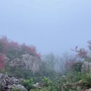 铜陵旅游 缩略图 6