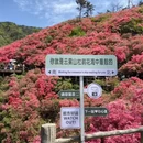 武汉旅游 缩略图 1