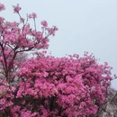 铜陵旅游 缩略图 7