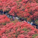 武汉旅游 缩略图 2