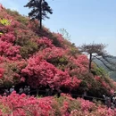 武汉旅游 缩略图 3