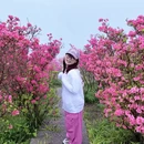 铜陵旅游 缩略图 11