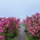 铜陵旅游 缩略图 10