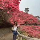 武汉旅游 缩略图 6