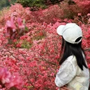 武汉旅游 缩略图 13