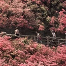 鄂州旅游 缩略图 5