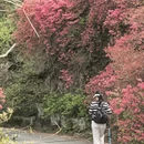 鄂州旅游 缩略图 6