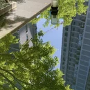 孝感旅游 缩略图 7