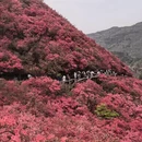 鄂州旅游 缩略图 7