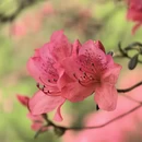 鄂州旅游 缩略图 8